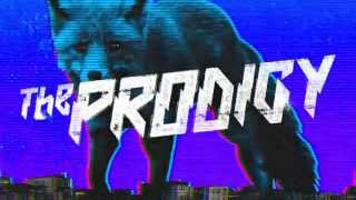 The Prodigy  The Day Is My Enemy LH Edit Official Audio [upl. by Ennovyahs833]