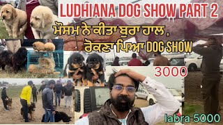 Ludhiana Dog show part 2  mosam hoya khrab street Dog market [upl. by Aaron632]