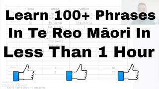 How to say 100 sentences in te reo Māori  MAORI LANGUAGE LESSON FOR BEGINNERS [upl. by Cassandre]