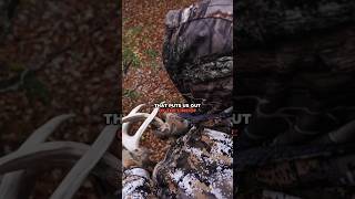 How High Do You Hang Your Tree Stands huntingseason hunting deerhunting whitetail shorts [upl. by Nivrag]