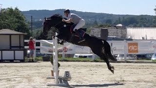 Chanteur de noir  S mit Stechen in Asbach am 07082016 [upl. by Masson]