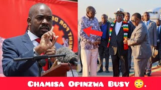 Chamisa In A Painful Attack  Zanu After Him 😳 [upl. by Ishmul]