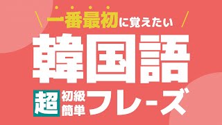 【聞き流し韓国語】初級会話フレーズ  単語・日常会話・会話・簡単・勉強・初心者・リスニング [upl. by Duky109]