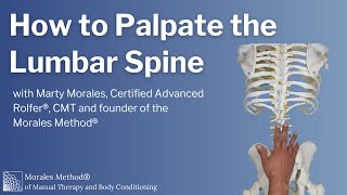 How to Palpate the Lumbar Spine [upl. by Dulciana]