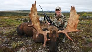 Hunting Massive Bull Moose in Remote Newfoundland  Canada in the Rough [upl. by Eeral]