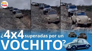 Vochito le pone el ejemplo a los 4x4 y todo terreno en caminos disparejos noticias [upl. by Parrnell]