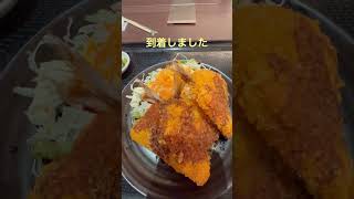 名古屋人のお昼ご飯 大曽根温泉 湯の城のあおい亭shorts [upl. by Murdocca]