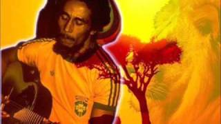 Bob Marley  Roots Natty Roots lyrics [upl. by Iverson111]