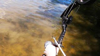 Bowfishing Spawning Carp in the Shallows Bonus Mirror Carp [upl. by Rebane]