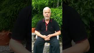 Every Tuesday  Real Time Qigong Webinare Via ZOOM energy peace kungfu [upl. by Alakim]