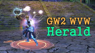 GW2 WVW  Herald [upl. by Coltson]