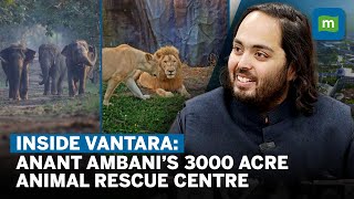 Inside Vantara Anant Mukesh Ambani’s 3000 Acre Animal Rescue amp Rehabilitation Centre  Interview [upl. by Deeann159]