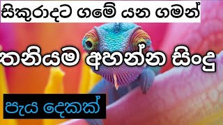 2023 මනෝපහරට සින්දු පැයක් sindu songmusicsinhala song sindu listdj songsinhala dj [upl. by Eimiaj]