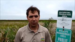 2016 August Roadside Survey Preview  Iowa DNR [upl. by Acinorrev]