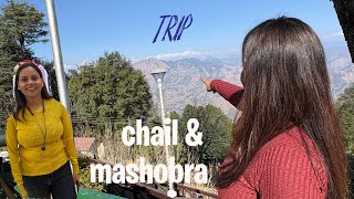 Trip to Chail amp Mashobra shimla trip travel chail mashobra travelvlog travelphotography [upl. by Tem]