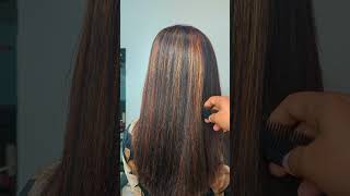 Black Dye Hair Color Transformation Golden Brown Highlight done by LINGERING LOOKhaircolor hair [upl. by Aticnemrac115]