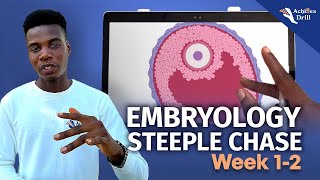 1ST AND 2ND WEEK OF DEVELOPMENT EMBRYOLOGY STEEPLECHASE QUESTIONS [upl. by Nnaaras]