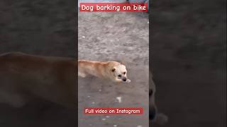 Dog barking on bike Watch this [upl. by Monteith528]