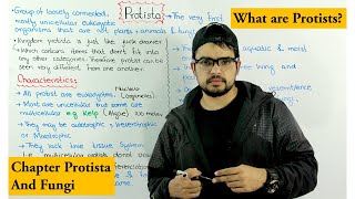 What are Protists  Kingdom Protista Introduction  Protista and Fungi [upl. by Aehsal89]