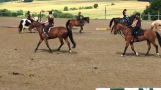 SchulpferdeQuadrille Reitschule Gerhardshof [upl. by Simonne]