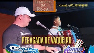 pegada de vaqueiro Claudio limma e aurilo musica nordeste ceará brasil churrasco [upl. by Siward]