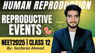 HUMAN REPRODUCTION  PART 1  reproductive events  NEET2025  CLASS 12  By Sarafaraz Ahmad [upl. by Arualana]