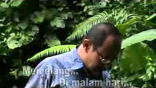 SERULING DILEMBAH SUNYI Song By P Zain with Lyrics [upl. by Euqirne]