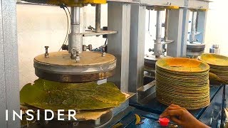 How Leaves Are Made Into Biodegradable Plates [upl. by Losiram]