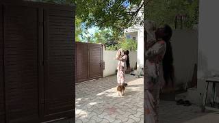 Pure Love na Athu Dogs oda Love Than voiceoverstrories minivlog sowbaraniyashorts [upl. by Berrie]