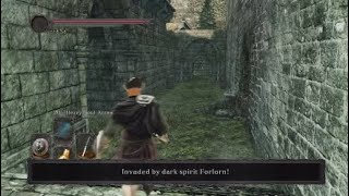 Dark Souls 2 SotFS  Forlorn Invader Forest of Fallen Giants [upl. by Pippa]