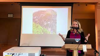 Dr Elizabeth Allison — An Epistemological Expedition into Vertiginous Animate Terrain [upl. by Eenehs]