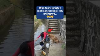 Tindakan Tak Terduga Anjing Setia [upl. by Muir]