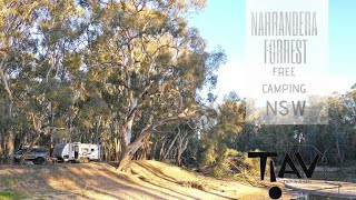 NARRANDERA STATE FOREST CAMPING [upl. by Nnarefinnej]