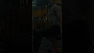 Biceps workout song bollywood gym trending song photography [upl. by Welles220]