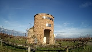 Rundgang in den Weinbergen von Hochstadt Pfalz HD [upl. by Rudwik679]