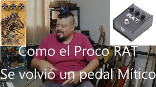 Como el Proco RAT se volvio un pedal Mitico [upl. by Dunkin798]