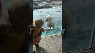 Polar bear attacks baby at zoo 😱 [upl. by Kosey]