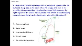 Anatomical basis of pleural referred pain [upl. by Aihseym]