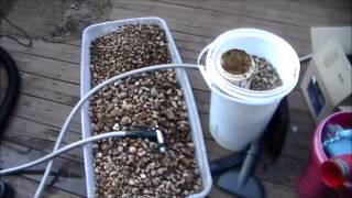 DIY Gravel FIlter [upl. by Adalard]