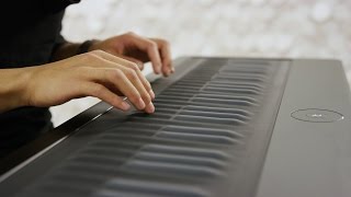 Multitrack Seaboard GRAND performance [upl. by Neved714]