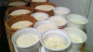 Homemade Italian Giuncata amp Ricotta Cheese [upl. by Mot]