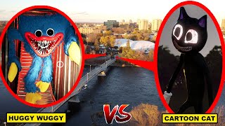 DRONE CATCHES HUGGY WUGGY VS CARTOON CAT FIGHTING  HUGGY WUGGY CAUGHT VS CARTOON CAT FIGHT CAUGHT [upl. by Giesecke]