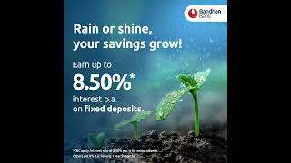 Fixed Deposit  Bandhan Bank [upl. by Eniledam]