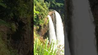 Beautiful Wailua Falls  Kauai Hawaii [upl. by Nnyleitak167]