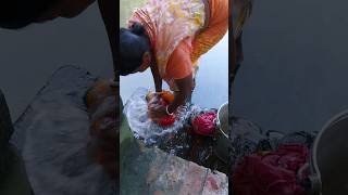 village woman washing clothes in pond beautiful villagelife villagelife ponds washing [upl. by Nylla]