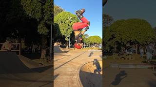 BACK FLIP NAS ALTURAS [upl. by O'Doneven188]