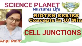 TYPES OF CELL JUNCTIONS II ANCHORING II OCCLUDING II COMMUNICATING JUNCTION II BY ANJU MAM [upl. by Caressa]