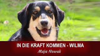 In die Kraft kommen  Wilma  von Maja Nowak  Teil 1 [upl. by Lezlie]