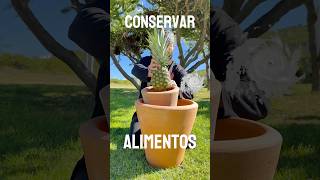 Conserva alimentos 💡 Sin electricidad Pt4 [upl. by Ertnod992]