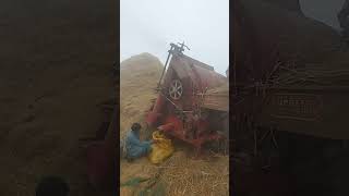 Countinue work of Rice Thareshar Sindh Pakistan weather is not good [upl. by Zoellick]